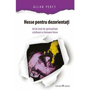 Hesse pentru dezorientati | Allan Percy imagine