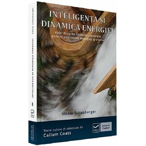 Inteligenta si dinamica energiei | Callum Coats imagine
