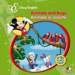 Animals and Bugs. Animale si insecte. My First Words in English | imagine