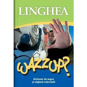 Wazzup' Dictionar de argou si engleza colocviala imagine