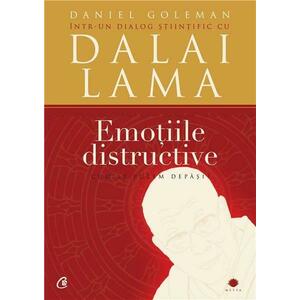 Emotiile distructive | Daniel Goleman imagine
