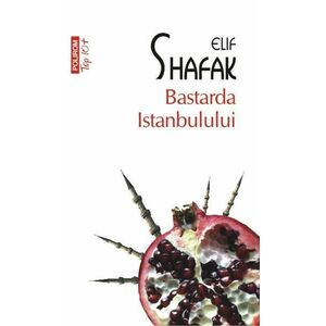 Bastarda Istanbulului (Top 10) | Elif Shafak imagine