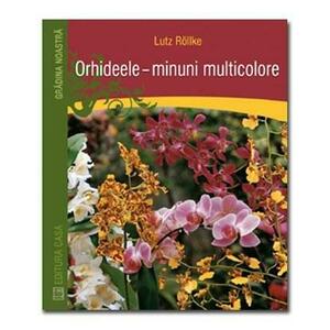 Orhideele minuni multicolore imagine