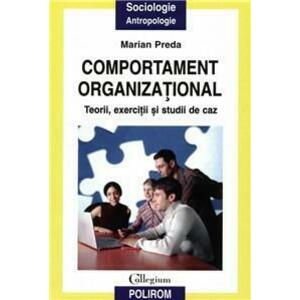 Comportament organizational imagine