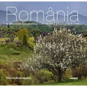 Romania | Florin Andreescu imagine