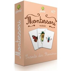 Carti de joc Montessori - Insecte din Romania | imagine