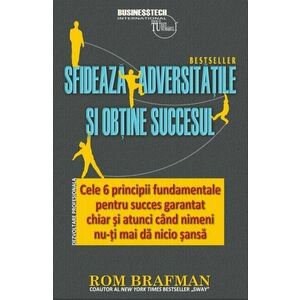 Sfideaza adversitatile si obtine succesul | Rom Brafman imagine