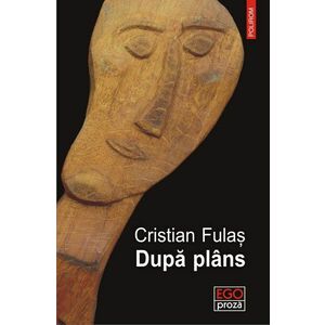 Dupa plans | Cristian Fulas imagine