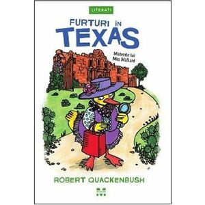 Furturi in Texas | Robert Quackenbush imagine