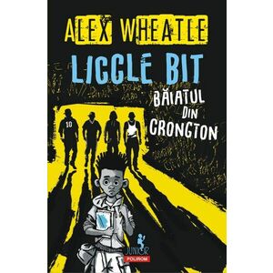 Liccle Bit, baiatul din Crongton | Alex Wheatle imagine