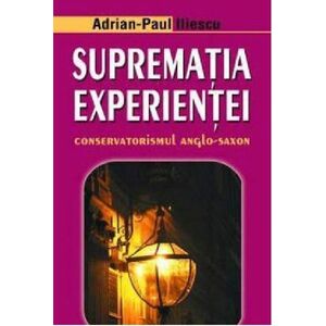 Suprematia experientei | Adrian-Paul Iliescu imagine