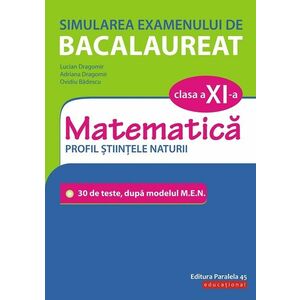 Probleme de matematica pentru clasa a XI-a/Lucian Dragomir, Adriana Dragomir, Ovidiu Badescu imagine