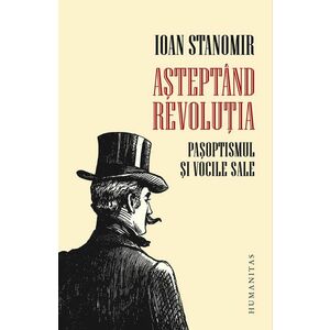 Asteptand revolutia | Ioan Stanomir imagine