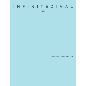 Revista Infinitezimal nr. 14 | imagine