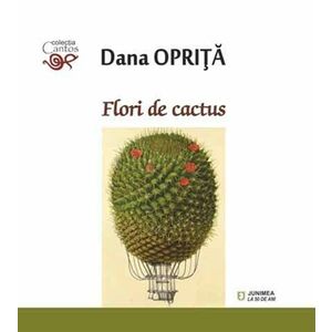 Flori de cactus | Dana Oprita imagine