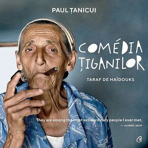 Comedia tiganilor | Paul Tanicui imagine