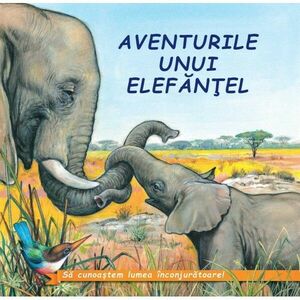 Aventurile unui elefantel | Gheorghe Ghetu imagine
