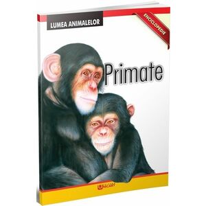 Enciclopedie - Primate | imagine