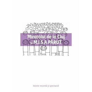 Miracolul de la Cluj si M.I.S.A.PARUT | Gabriel Andreescu imagine