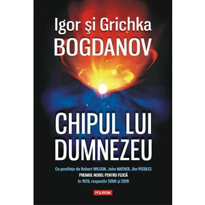 Grichka Bogdanov, Igor Bogdanov imagine