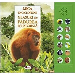 Mica enciclopedie. Glasuri din padurea ecuatoriala | Andrea Pinnington, Caz Buckingham imagine