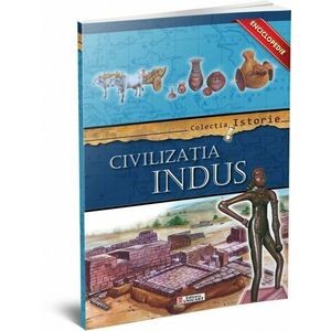 Enciclopedie - Civilizatia Indus | imagine