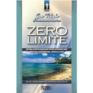 Zero limite | Joe Vitale imagine