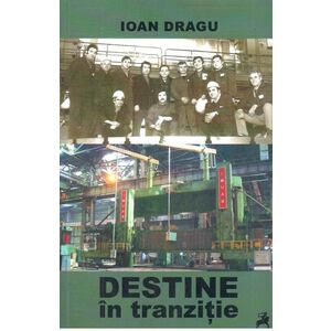 Destine in tranzitie | Ioan Dragu imagine