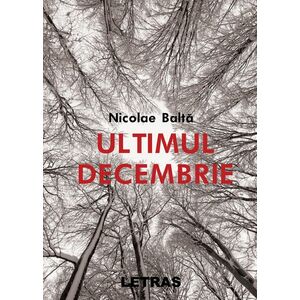 Ultimul decembrie | Nicolae Balta imagine