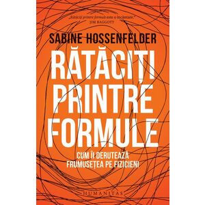 Rataciti printre formule | Sabine Hossenfelder imagine