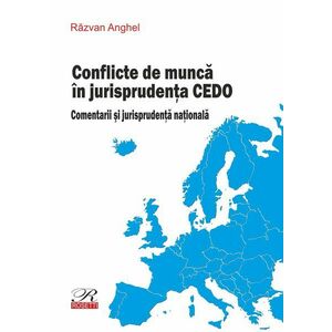 Conflicte de munca in jurisprudenta CEDO | Razvan Anghel imagine