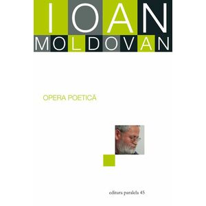 Opera poetica | Ioan Moldovan imagine