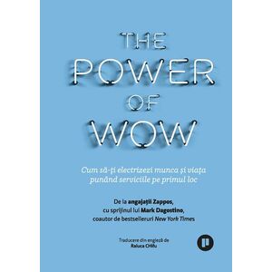 The Power of WOW | Tony Hsieh, Mark Dagostino imagine