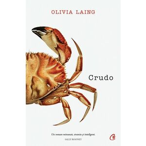 Crudo | Olivia Laing imagine