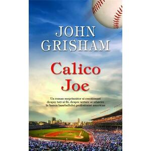 Calico Joe | John Grisham imagine