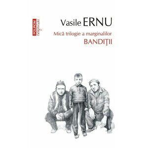 Banditii | Vasile Ernu imagine