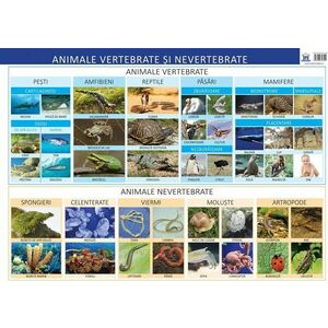 Animale vertebrate si nevertebrate - plansa/Florica Alexandrescu imagine