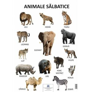 Plansa: Animale domestice - Animale salbatice imagine