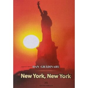 New York, New York | Dan Gradinaru imagine