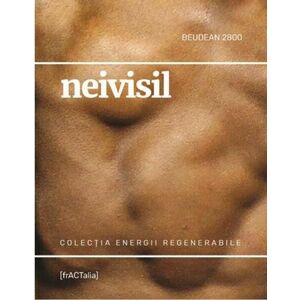 Neivisil | Dan Beudean imagine