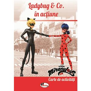 Ladybug & Co. in actiune - Carte de activitati | imagine
