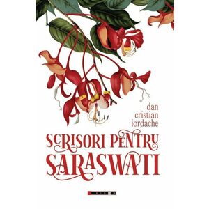 Scrisori pentru Saraswati | Dan Cristian Iordache imagine