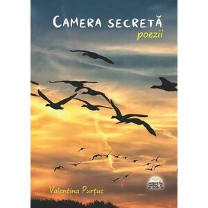 Camera secreta | Valentina Purtuc imagine