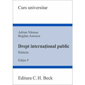 Drept international public | Adrian Nastase, Bogdan Aurescu imagine