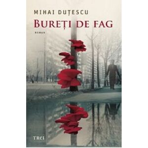 Bureti de fag | Mihai Dutescu imagine