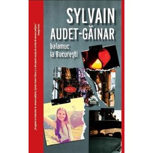 Sylvain Audet-Gainar imagine