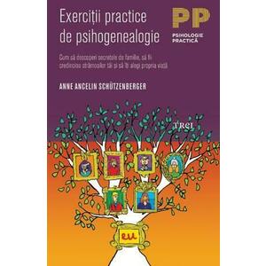 Exercitii practice de psihogenealogie | Anne Ancelin Schutzenberger imagine