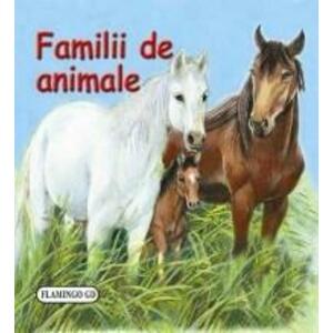 Familii de animale - pliant cartonat | Flamingo GD imagine