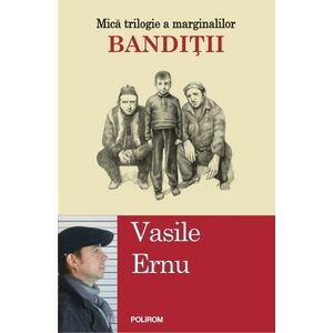 Banditii. Mica trilogie a marginalilor - Vasile Ernu imagine