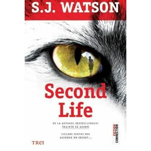 Second Life | S. J. Watson imagine